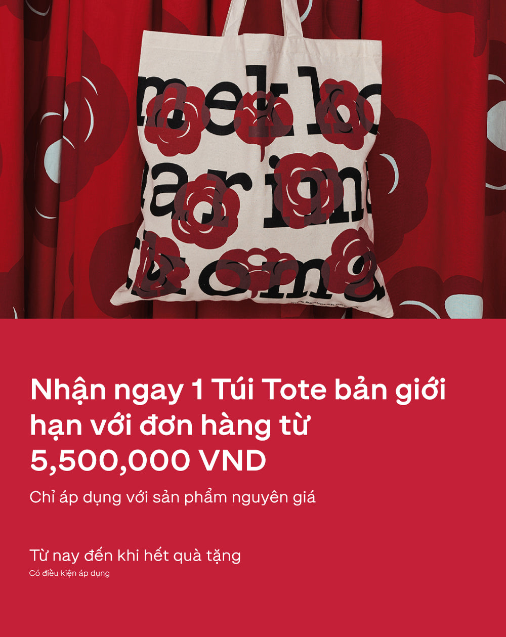 Image associated with 